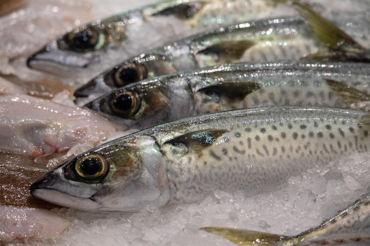 サントリニのディナー ローカルが新鮮な魚を食べる