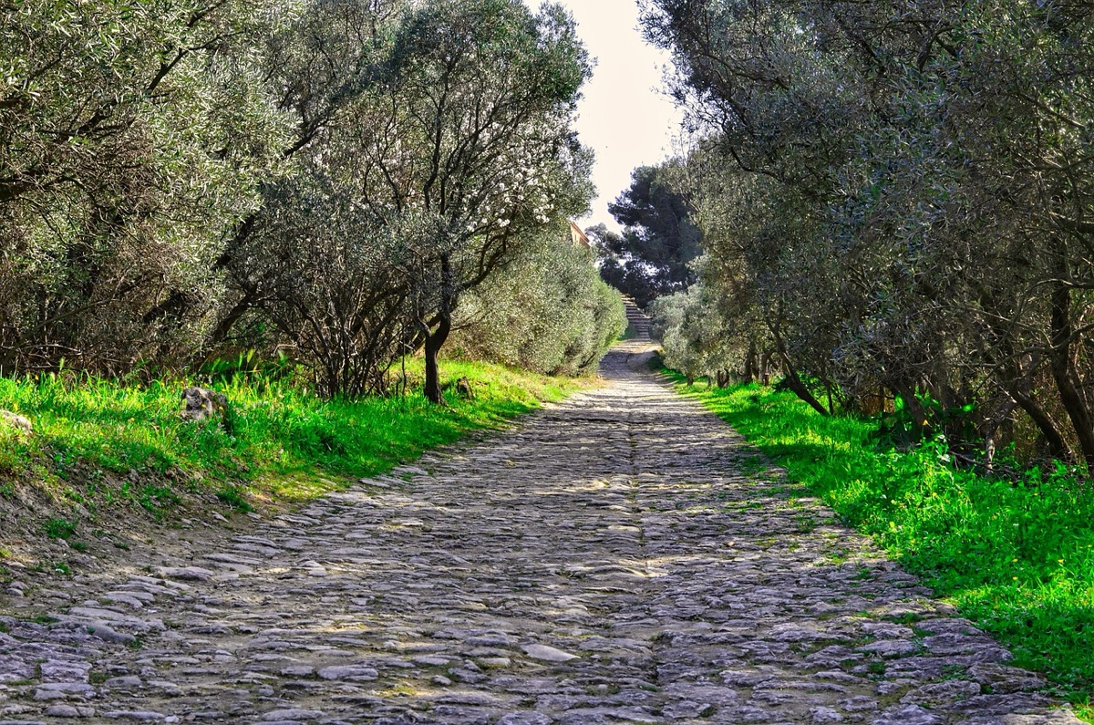Santorini olievorm